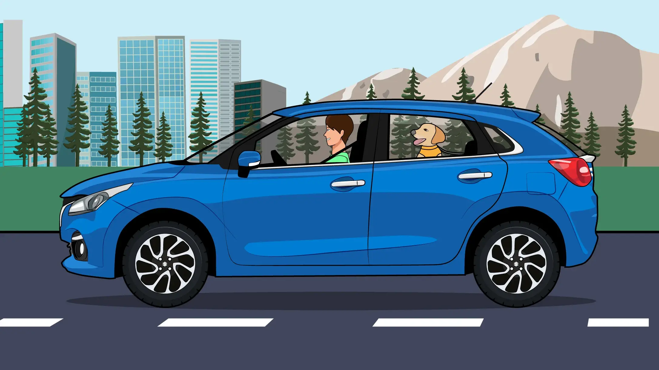 Requisitos para viajar con mascotas en auto | Suzuki